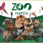 Campi Flegrei. Lo Zoo di Napoli.